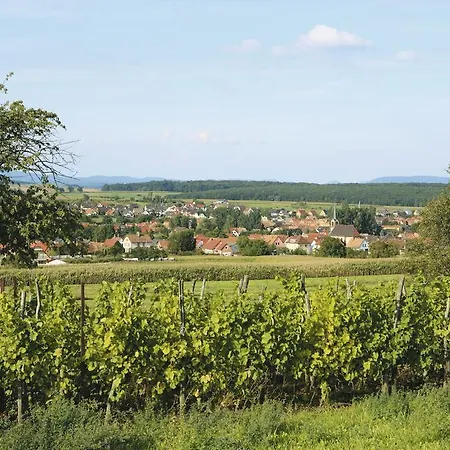 Restaurant De L'agneau Pfaffenhoffen