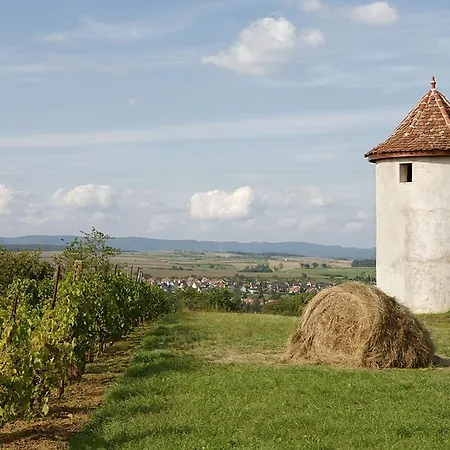 Restaurant De L'agneau Otel Pfaffenhoffen