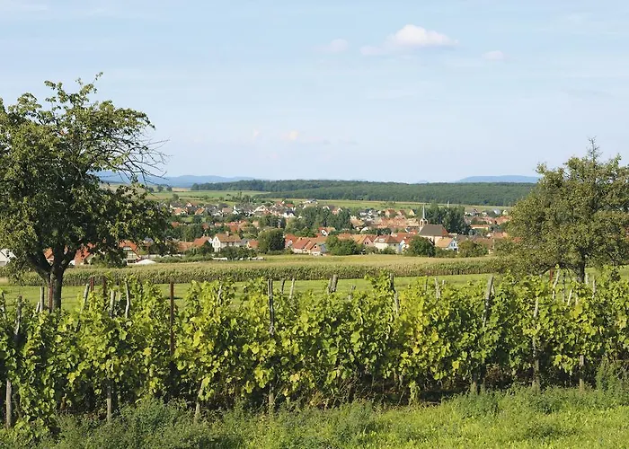 Restaurant De L'agneau Pfaffenhoffen